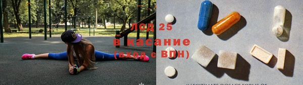 сатива Арсеньев