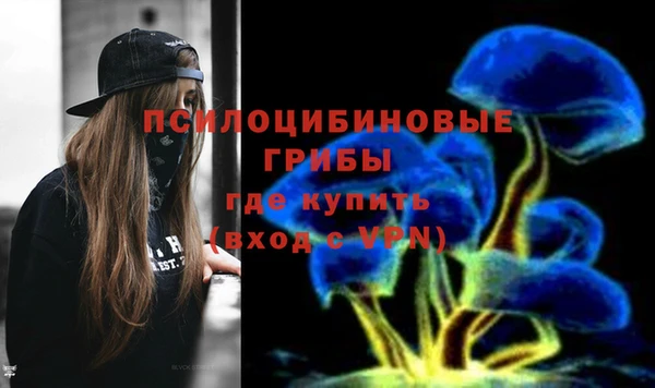2c-b Аркадак