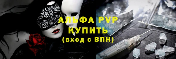 сатива Арсеньев