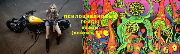 2c-b Аркадак